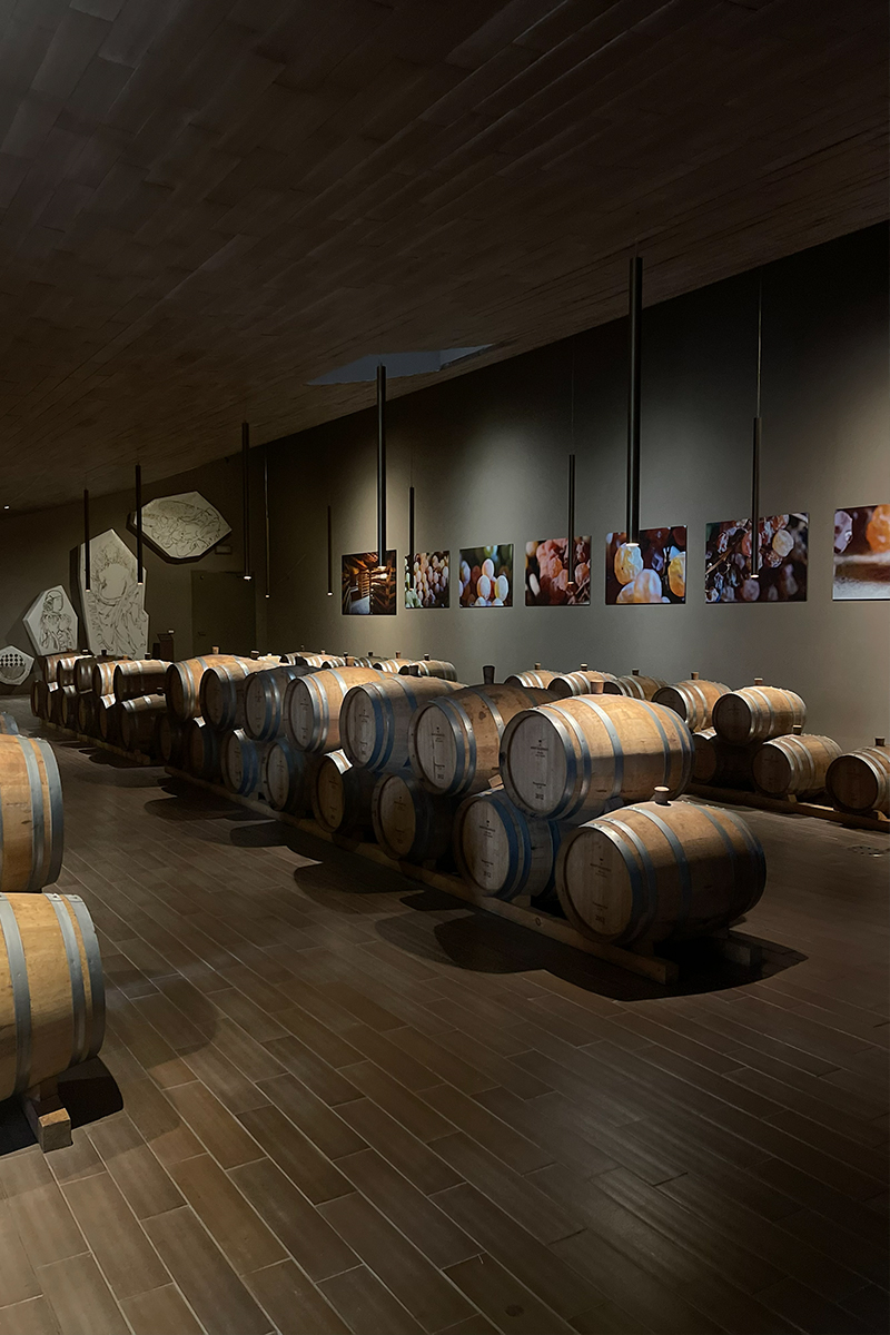 Wedding planner per organizzare eventi in cantina